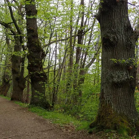 La Roche Peregrine Tatil Evi *