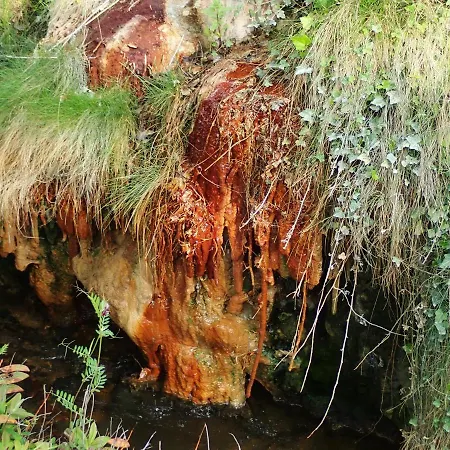 La Roche Peregrine * Châtel-Guyon