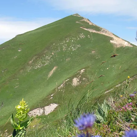 La Roche Peregrine * Châtel-Guyon