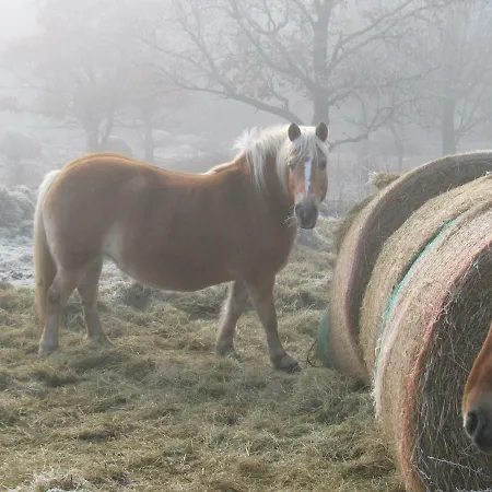 La Roche Peregrine * Châtel-Guyon