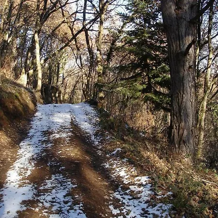 La Roche Peregrine Dom wakacyjny Châtel-Guyon
