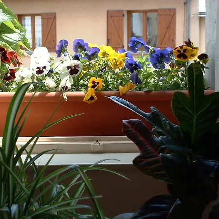 Tatil Evi La Roche Peregrine *