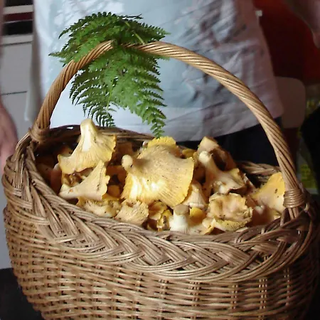 Tatil Evi La Roche Peregrine