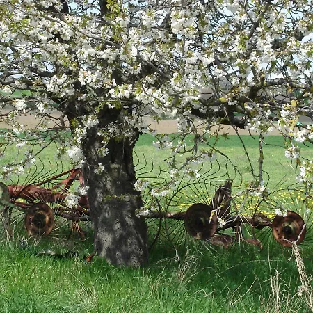 Tatil Evi La Roche Peregrine Châtel-Guyon