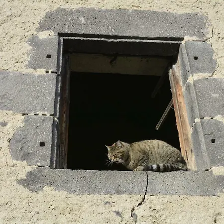 La Roche Peregrine Tatil Evi