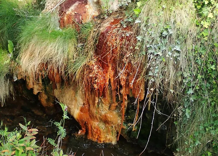 La Roche Peregrine * Châtel-Guyon