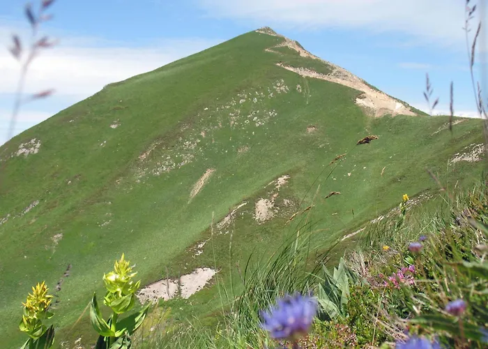 La Roche Peregrine * Châtel-Guyon