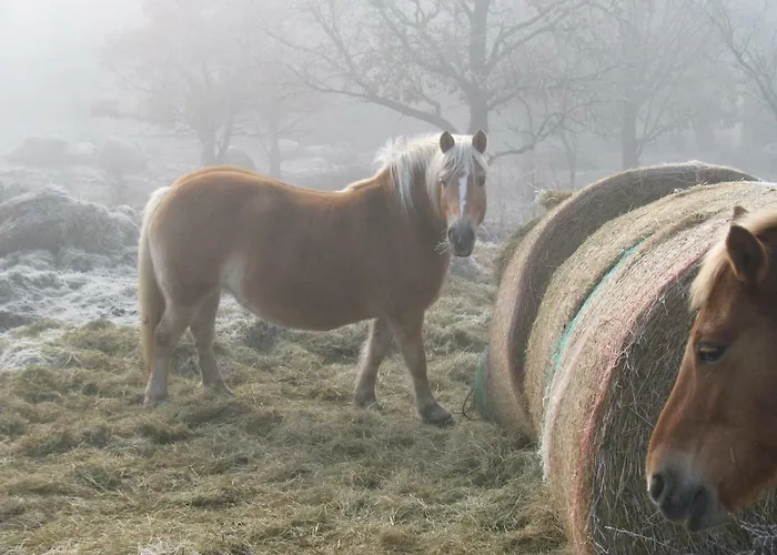 La Roche Peregrine * Châtel-Guyon