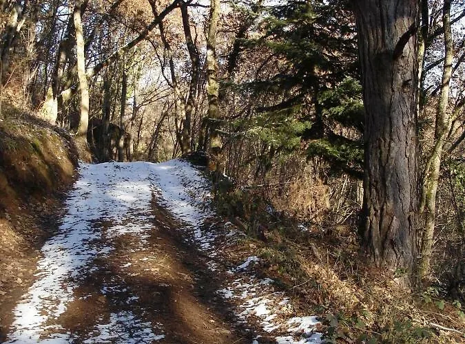 La Roche Peregrine Semesterbostad Châtel-Guyon