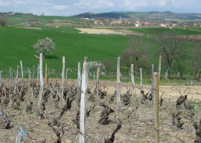 La Roche Peregrine Semesterbostad Châtel-Guyon